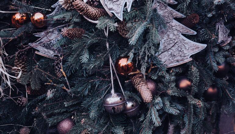 Iluminando el Camino: Reflexiones para una Navidad Consciente